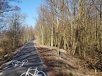 Budowa sieci tras rowerowych Pomorza Zachodniego - Trasa Nadmorska 