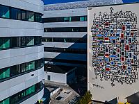 Ekomurale gotowe! Zdobią przestrzeń i oczyszczają powietrze w centrum Szczecina