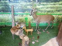 Szczecinecki eksperyment - zakup wyposażenia do Ośrodka Popularyzującego Naukę w Szczecinku