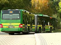 Zakup taboru autobusowego niskoemisyjnego