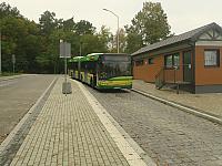 Zakup taboru autobusowego niskoemisyjnego