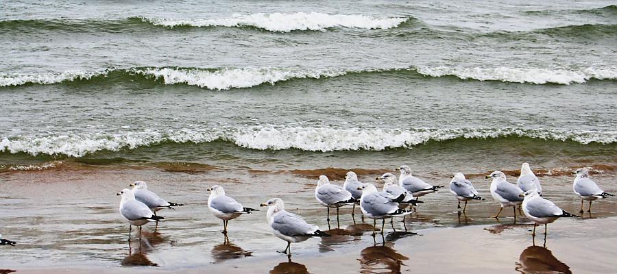 Ciąg dalszy turystycznych zmian w Dąbkach