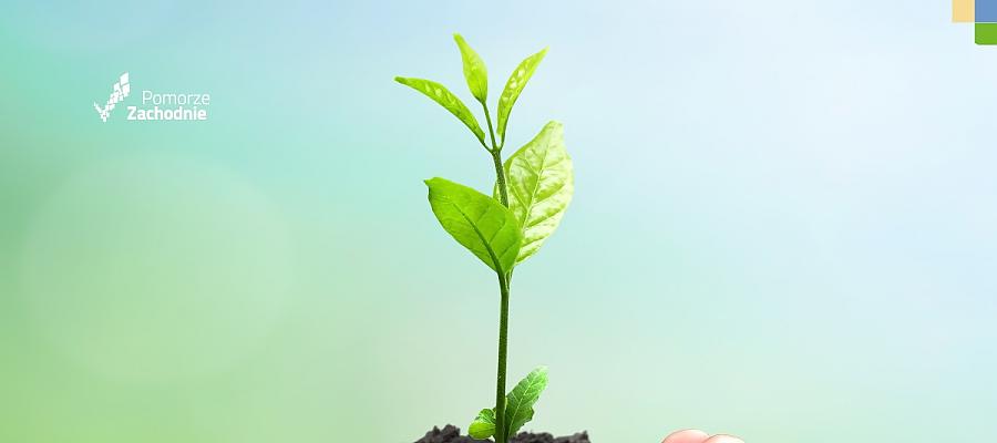 Polityka miejska i Europejski Zielony Ład a Pomorze Zachodnie