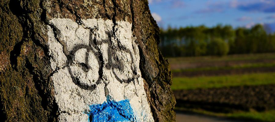 Rewitalizacja dociera nad Jezioro Krzęcińskie. RPO WZ 2014-2020 wspiera działania gminy Krzęcin. Rewitalizacja dociera nad Jezioro Krzęcińskie. RPO WZ 2014-2020 wspiera działania gminy Krzęcin.